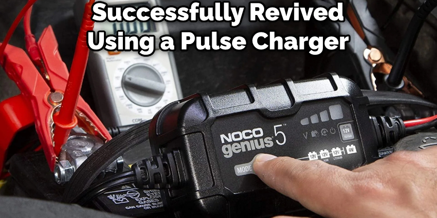 Successfully Revived Using a Pulse Charger