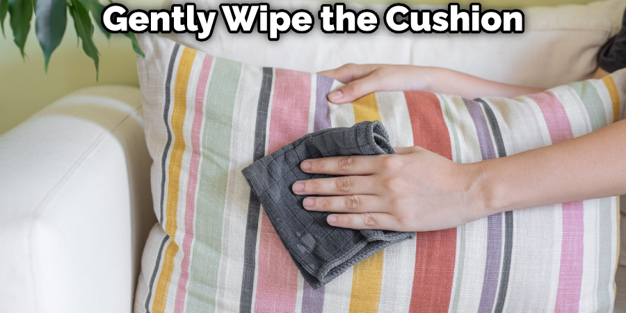 Gently Wipe the Cushion