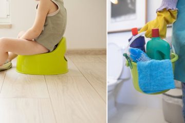 How to Clean Potty Chair