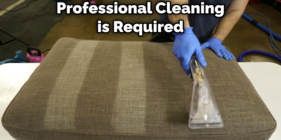 Professional Cleaning is Required