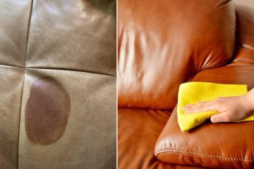 How to Get Oil Out of Leather Chair