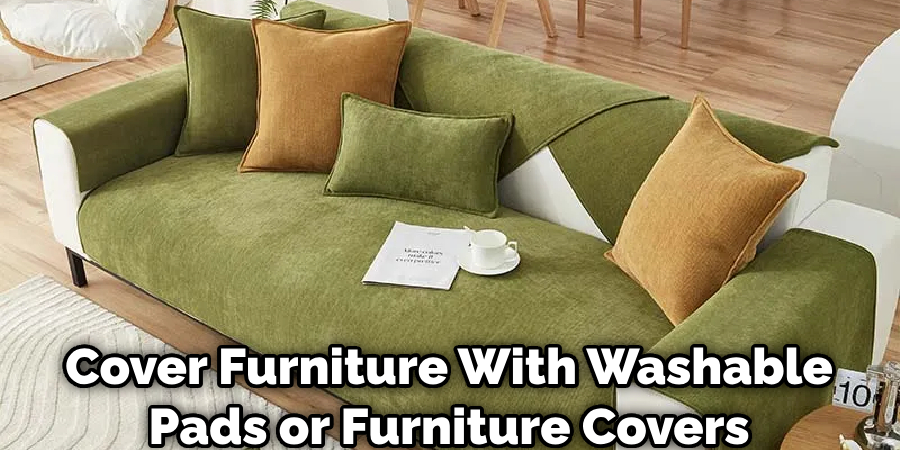 Cover Furniture With Washable Pads or Furniture Covers