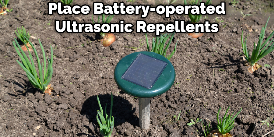 Place Battery-operated Ultrasonic Repellents