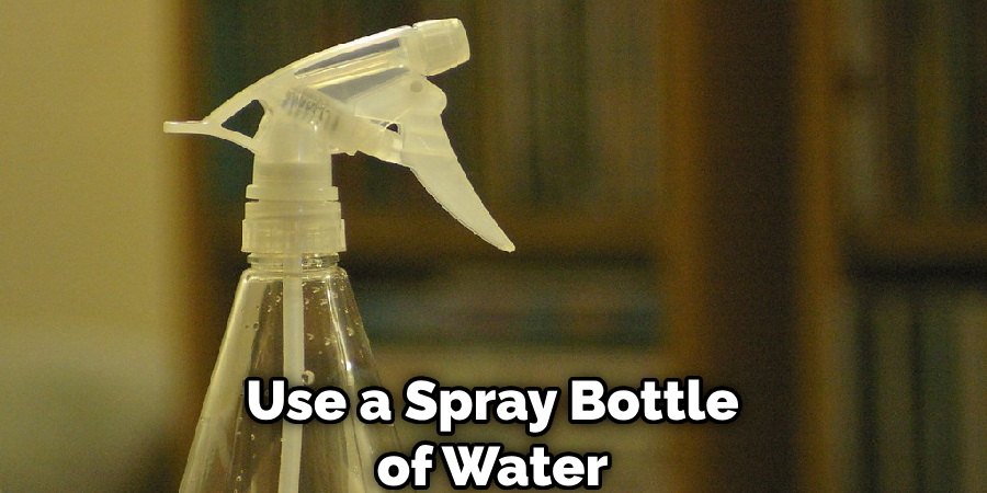 Use a Spray Bottle of Water